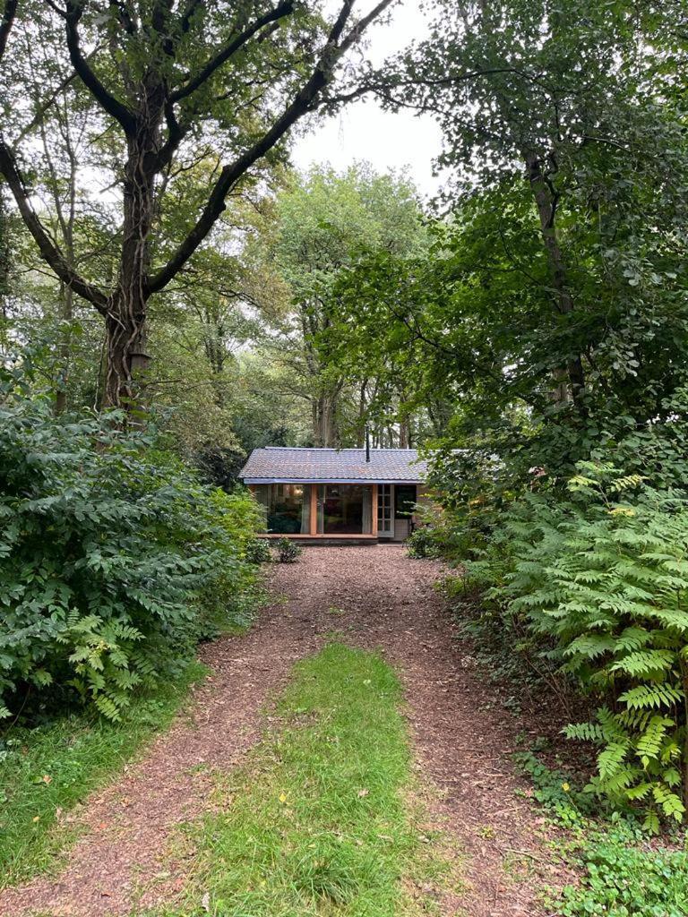 Huisje In Het Bos Zuidlaren Εξωτερικό φωτογραφία