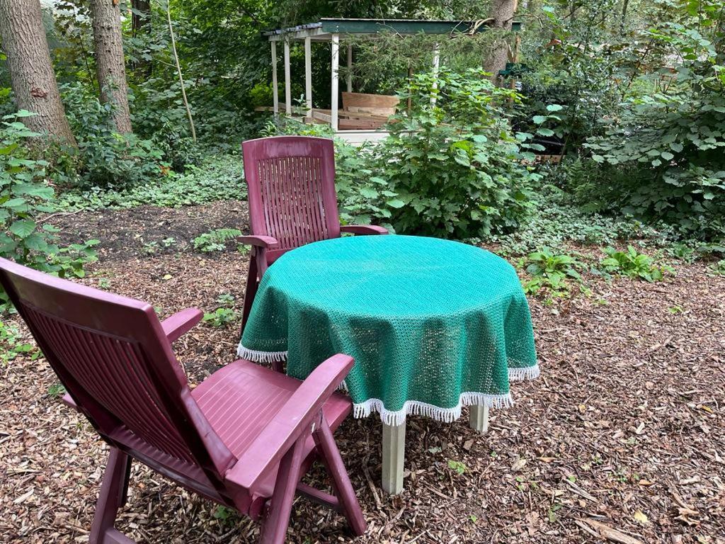 Huisje In Het Bos Zuidlaren Εξωτερικό φωτογραφία